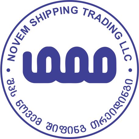 Novem Logo